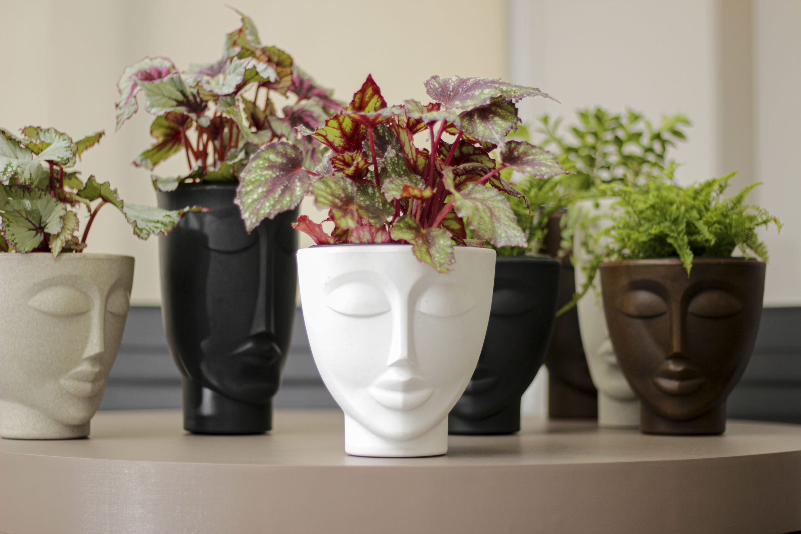 VASO FACE MULHER CAFE IMPERIAL, PRETO CIMENTO - NUTRIPLAN