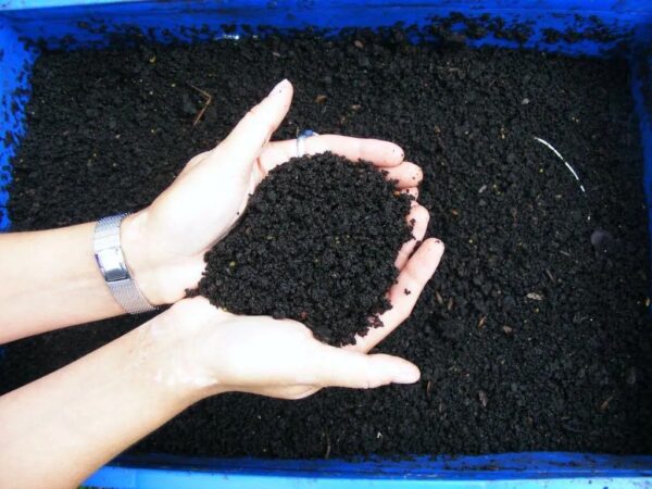 Terra vegetal com humus de minhoca 3kg CALTERRA - Imagem 6