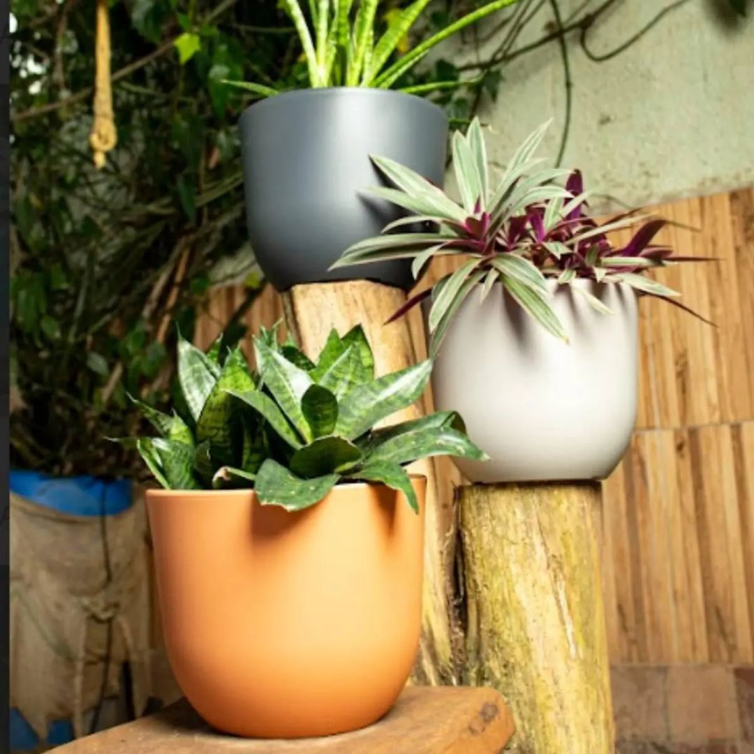 VASO JAPI CONCEPT